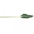 Floristik24 Umělý list šípu umělá rostlina alocasia deco zelená 74cm