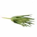 Aloe Vera umělá zelená 26cm