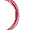 Floristik24 Hliníkový drát 2mm růžový 3m