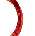 Floristik24 Hliníkový drát 2mm červený 3m