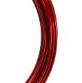 Floristik24 Hliníkový drát 2mm 100g červený