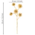 Umělá jantarová ovocná větvička, zlatá dekorace, 26 cm, sada 6 kusů | Floristik24.cz