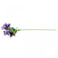 Floristik24 Umělá sasanka, hedvábný květ, umělá rostlina s květy fialová L55cm
