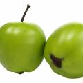 Floristik24 Dekorativní ovocné mini jablko umělé zelené 4,5cm 24ks