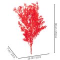 Sušený chřestový svazek na květinovou výzdobu 65 cm 80 g | Floristik24.cz