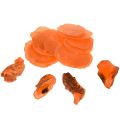 Floristik24 Capiz hlíva ústřičná plátky v čisté oranžové 3,5–9,5 cm 2ks