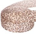 Dárková stuha s leopardím vzorem, šířka 25 mm, délka 18 m | Floristik24.cz