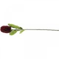 Floristik24 Umělá květina Banksia Červená Vínová umělá Exotika 64cm