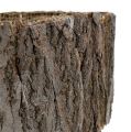 Floristik24 Role stromové kůry přírodní 10cm 1m