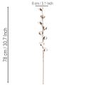 Umělá bavlněná větev s 8 pravými květy, 78 cm | Floristik24.cz