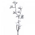 Floristik24 Umělá bavlněná větev bavlněné květiny se sněhem 79cm