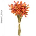 Hrozen oranžových bobulí, dlouhý 20 cm | Floristik24.cz
