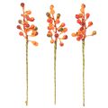 Hrozen oranžových bobulí, dlouhý 20 cm | Floristik24.cz