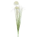 Floristik24 Umělé květiny koule květina allium okrasná cibule umělá bílá 90cm
