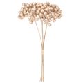 Umělá větvička z bobulí, dekorace šampaňské barvy, 28 cm, 3 kusy | Floristik24.cz