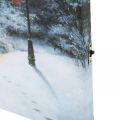 Floristik24 LED fototapeta zimní krajina s domečkem 38×28cm Na baterii