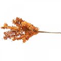 Floristik24 Umělé rostliny podzimní dekorace umělá větev listy oranžové 46cm