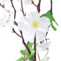 Floristik24 Květinová girlanda umělá květinová girlanda bílé květy 160cm