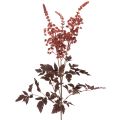 Floristik24 Umělá květina Astilbe s dlouhým stonkem, nádhera 80 cm