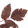 Umělá květina Astilbe s dlouhým stonkem, nádhera 80 cm | Floristik24.cz