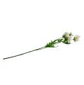Floristik24 Květ větev bílá L70cm