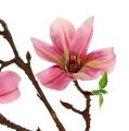 Floristik24 Magnolia mini růžová, růžová L53cm 3ks