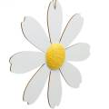 Floristik24 Dřevěné květy, letní dekorace, sedmikrásky žluté a bílé, dekorační květiny na zavěšení 4ks