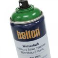 Floristik24 Bezbarvá barva na vodní bázi Belton s vysokým leskem ve spreji 400 ml