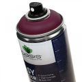 Floristik24 OASIS® Easy Color Spray, barva ve spreji Erika 400 ml