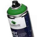 Floristik24 Easy Color Spray, zelená barva ve spreji, jarní dekorace 400ml