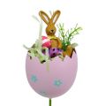 Floristik24 Květinová zásuvka vejce s druhem zvířat. 8cm L30cm 4ks