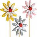 Floristik24 Deko špunty květiny s beruškami jarní dekorace dřevo Ø5cm 18ks