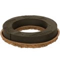 Floristik24 Květinový pěnový kroužek OASIS® Renewal® Floral Foam Biolit® 24 cm 2 ks