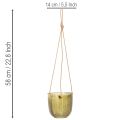 Skleněný květináč/závěsná lucerna, fialová/zelená, 14 cm, 2 kusy | Floristik24.cz