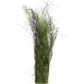 Floristik24 Dekorativní travní keř s větvemi Sušený travní trs 65×12cm