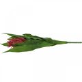 Floristik24 Bromélie umělá růžová Umělá květina na nalepení 54cm