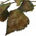 Floristik24 Deko větev buk umělá buková větev podzimní větev deko 115cm