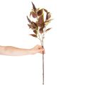 Umělý Coleus s červenými listy, umělá rostlina, 20 cm | Floristik24.cz