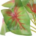 Floristik24 Umělá caladium šestilistá zeleno/růžová umělá rostlina jako skutečná!