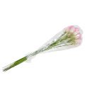 Calla dekorativní květina růžová 57cm 12ks | Floristik24.cz