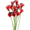 Floristik24 Calla red bordeaux umělé květiny v svazku 57cm 12ks
