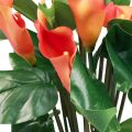 Floristik24 Calla Lily Meruňka Calla umělé květiny Orange Exotic 44cm