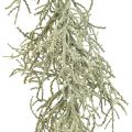 Floristik24 Calocephalus Garland Umělé rostliny Stříbrně šedá 122cm