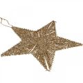 Floristik24 Ozdoby na vánoční stromeček, adventní dekorace, přívěsek hvězda Zlatá B15cm 8 kusů