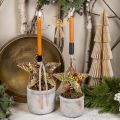 Floristik24 Vánoční ozdoby, adventní ozdoby, přívěsky hvězdy zlaté š30cm 4ks