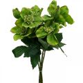 Floristik24 Vánoční růže Postní růže Čemeřice umělé květiny zelené L34cm 4ks