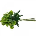 Floristik24 Vánoční růže Postní růže Čemeřice umělé květiny zelené L34cm 4ks