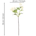Umělý květ chryzantémy, krémově bílá kytice, dekorativní větvička, velká 56 cm, 4 kusy | Floristik24.cz