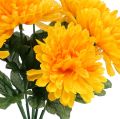 Floristik24 Chryzantéma žlutá se 7 květy