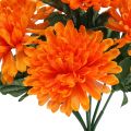 Floristik24 Chryzantéma oranžová se 7 květy